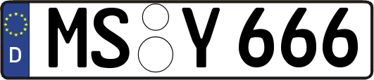 MS-Y666