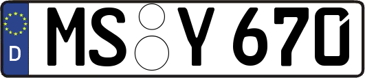 MS-Y670