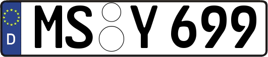 MS-Y699