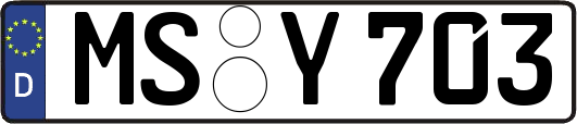 MS-Y703