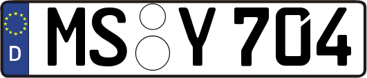 MS-Y704