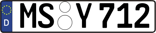 MS-Y712