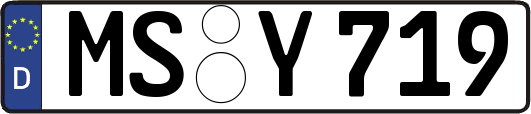 MS-Y719