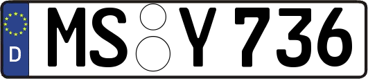 MS-Y736