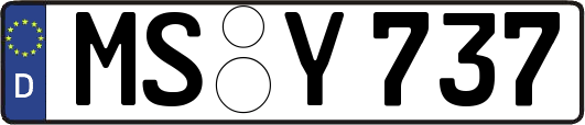 MS-Y737