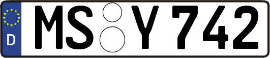 MS-Y742