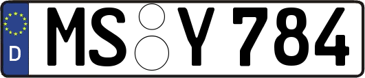 MS-Y784