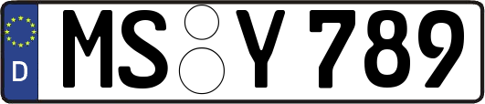 MS-Y789