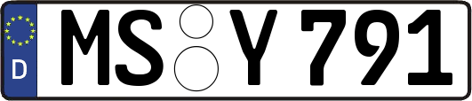 MS-Y791
