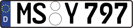 MS-Y797