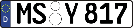 MS-Y817