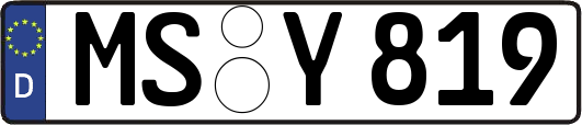 MS-Y819