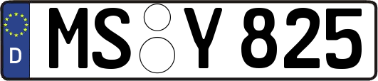 MS-Y825