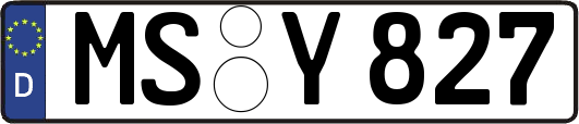 MS-Y827