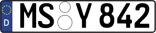MS-Y842