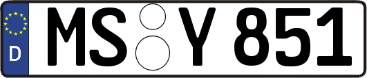 MS-Y851
