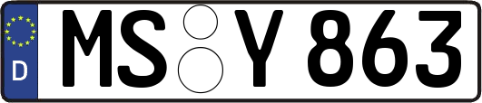 MS-Y863