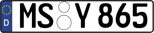 MS-Y865
