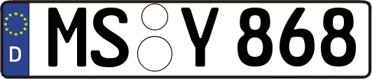 MS-Y868