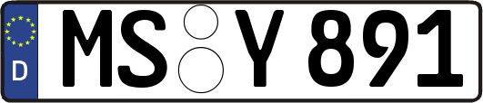 MS-Y891