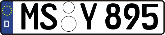 MS-Y895