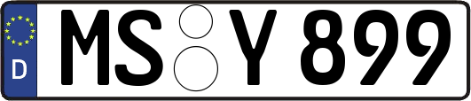 MS-Y899