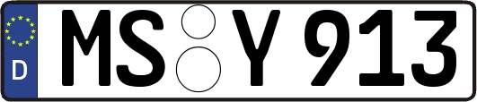 MS-Y913