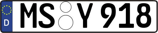 MS-Y918