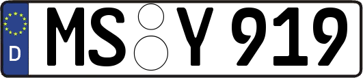 MS-Y919