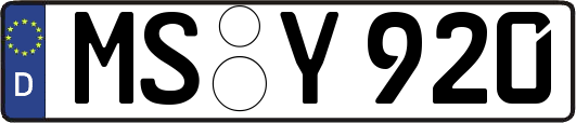 MS-Y920