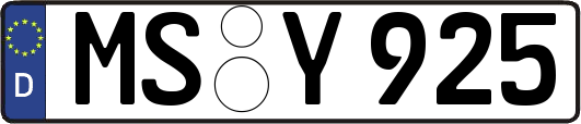MS-Y925