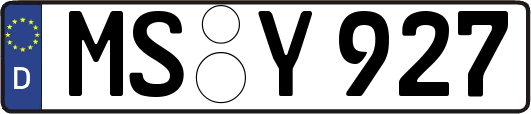 MS-Y927