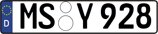 MS-Y928