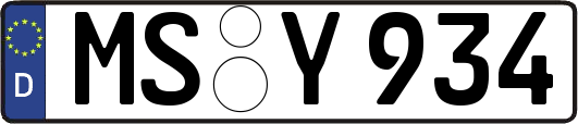 MS-Y934