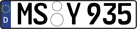 MS-Y935