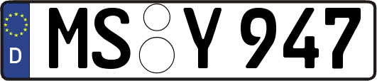 MS-Y947