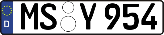 MS-Y954
