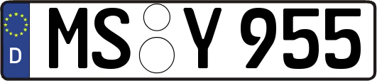 MS-Y955
