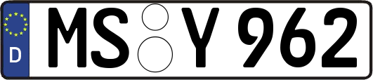 MS-Y962