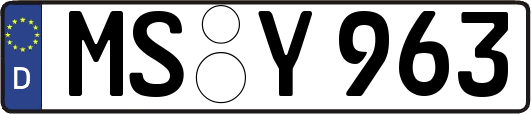 MS-Y963