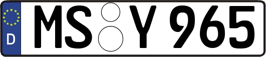 MS-Y965