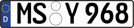 MS-Y968