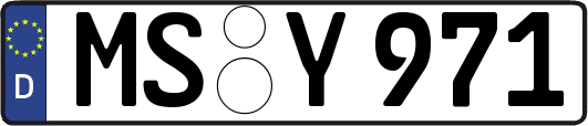 MS-Y971