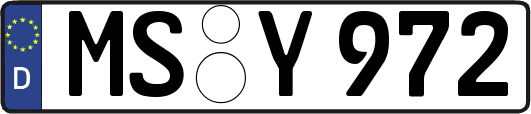 MS-Y972