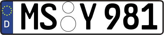 MS-Y981