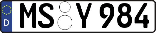 MS-Y984