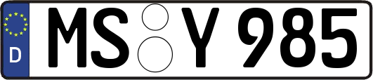 MS-Y985
