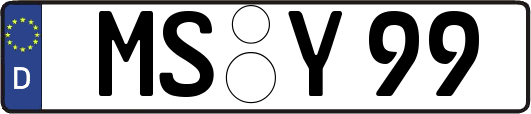 MS-Y99