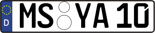 MS-YA10
