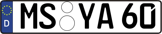 MS-YA60